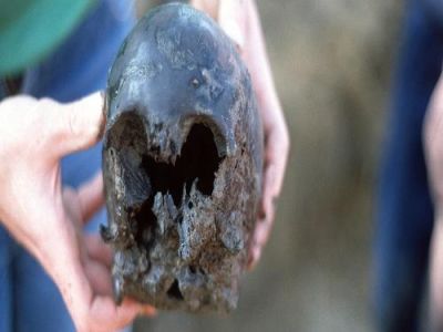 de schedel zoals deze is gevonden