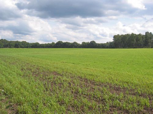 Landschap Markenwet