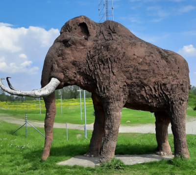 mammoet op de Kandiadijk in Groessen