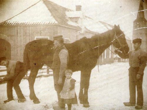 Oude foto van paard en hoefsmit